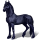 Cheval de trait Drum Horse Pie Tobiano Bai
