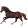 Caballo de montar Criollo argentino Bayo