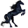 Cheval de selle Brumby Bai Brûlé