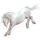 Poney Pottok Bai Brûlé
