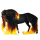 Draft unicorn Drum Horse Black Tovero