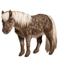 Pony Shetland Chestnut