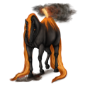 Reitpferd Rappe