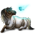 Poney Fjord Brunblakk