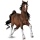 Cavallo da tiro Cavallo da parata Baio