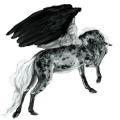 Poni Pegaso Chilote Gris claro