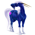 Âne licorne Âne commun Blanc