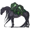 Reitpferd Araber Rappe