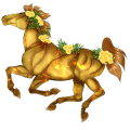 Cheval de selle Marwari Pie Tobiano Gris Souris