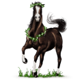 Riding Horse Knabstrupper Bay Spotted Blanket 
