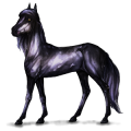 Reitpferd Holsteiner Rappe
