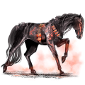 Cheval de selle Arabe Alezan Crins Lavés