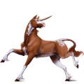 Einhorn-Reitpferd Orlow-Traber Apfelschimmel