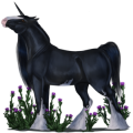 Draft unicorn Shire Black
