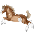 Kaltblut Brauner