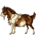Pony Shetlander Kastanje