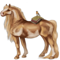 Poník Shetlandský pony Černý ryzák Tobiano