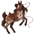 Cheval de selle Tinker Pie Tobiano Alezan Brûlé