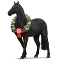 Cheval de selle Pure Race Espagnole Palomino