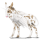 Âne licorne ailé Âne commun Noir