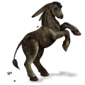Unicorno asino Asino standard Marrone