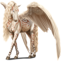 Riding pegasus Marwari Cremello