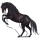 Caballo de montar Pura raza española Gris tordo