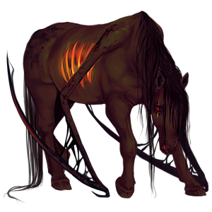 Pégase de selle Cheval de Selle Allemand Bai Cerise