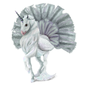 Okřídlený poníkorožec  Highland Pony Smíšený bělouš