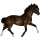 Poni Conemara Roano