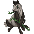 Poney Français de Selle Gris Truité