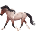 Riding Horse Thoroughbred Light Gray