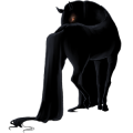 Reitpferd Dunkelfuchs