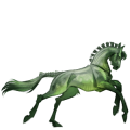 Caballo de montar Berberisco Bayo tostado