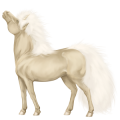 Einhorn-Pony Rappe