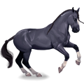 Cheval de selle Gris Clair