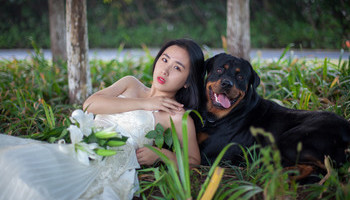 Rover The Ring Bearer