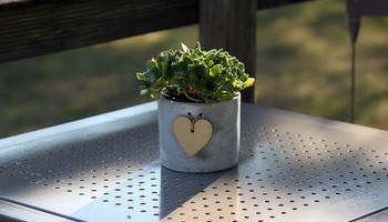 An Eco-friendly Affair