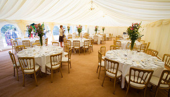 Planning For Wedding Bliss