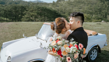 Bridal Reprisal