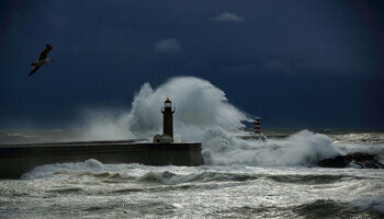Stormy Weather And Wedding Dreams
