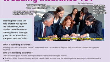 Brides And Bouquets Info 2