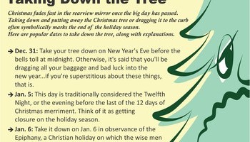 Christmas Info 3
