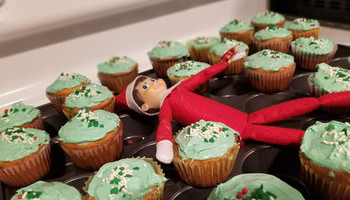Holiday Traditions