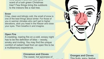 Christmas Info 1