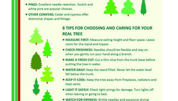 Christmas Info 2