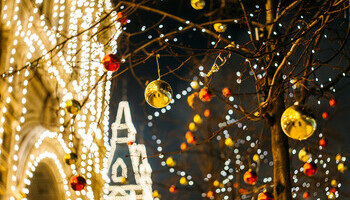 Winter Without Snow