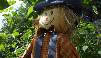 Sensational Scarecrows