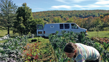 Second Plantings