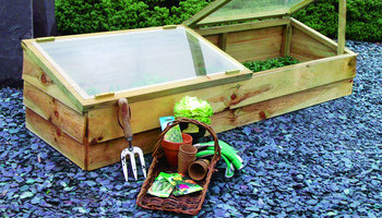 Growing Greener With A Greenhouse